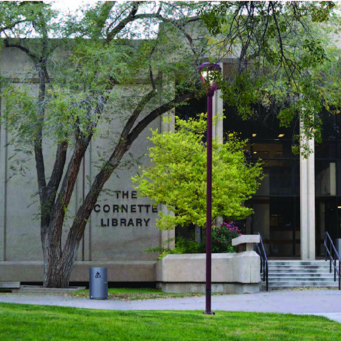 Street view of The Cornette Library