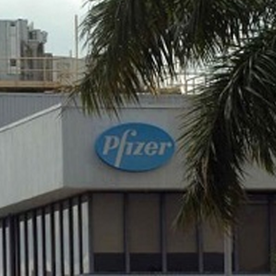 Front of pfizer building with tree